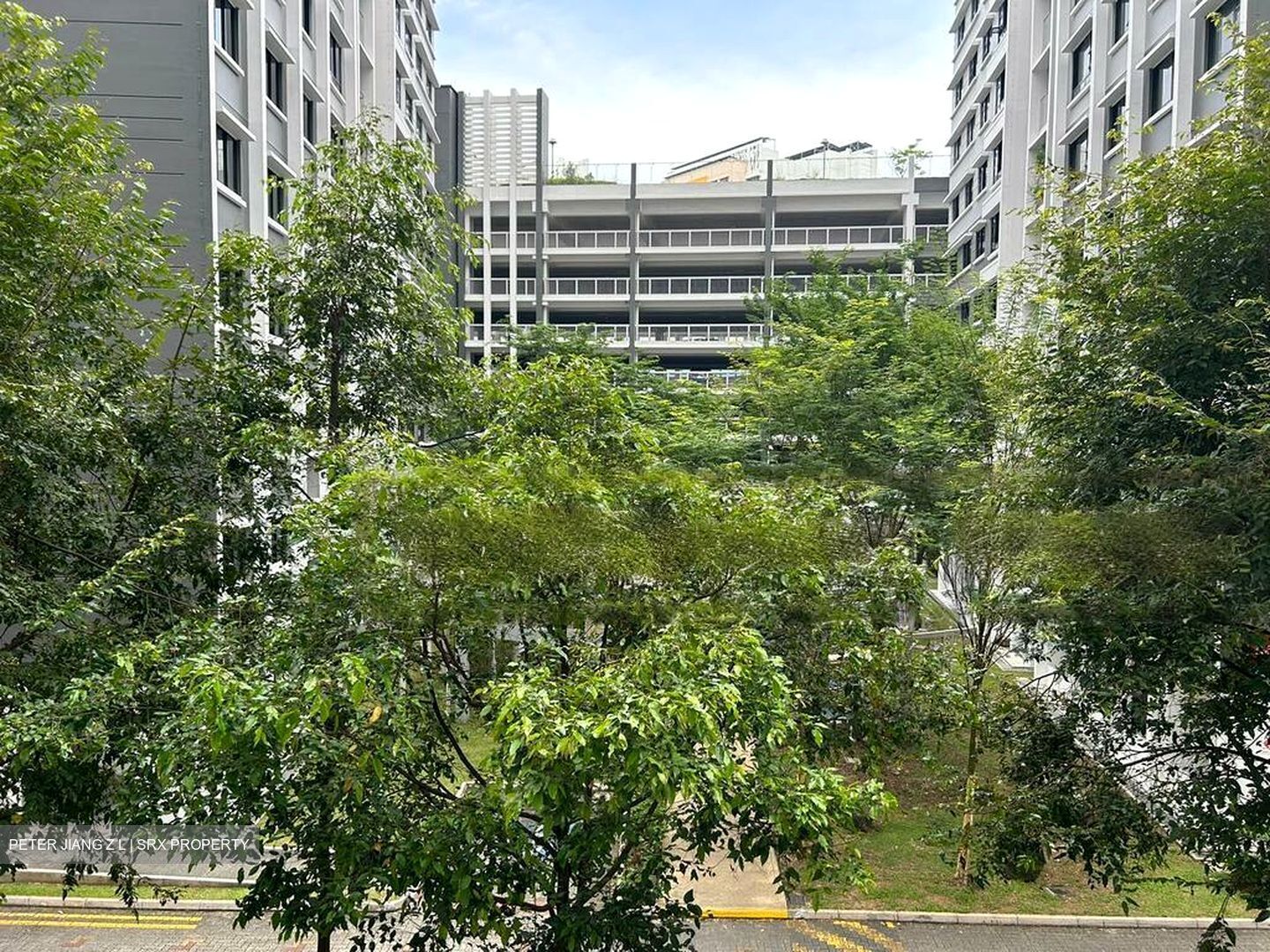 Blk 256C Punggol Opal (Punggol), HDB 4 Rooms #554767541